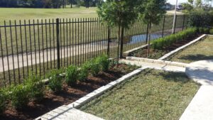 Stone Edging and landscaping