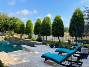 Pool Landscaping with trees for privacy.