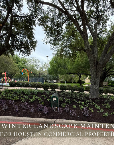 Fall and Winter Landscape Maintenance Tips for Houston Commercial Properties